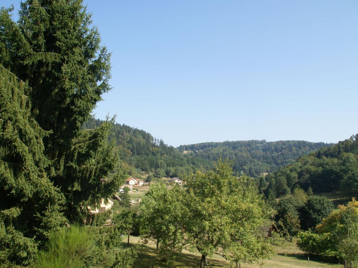 Charming Chalet In Ventron With Terrace Room photo